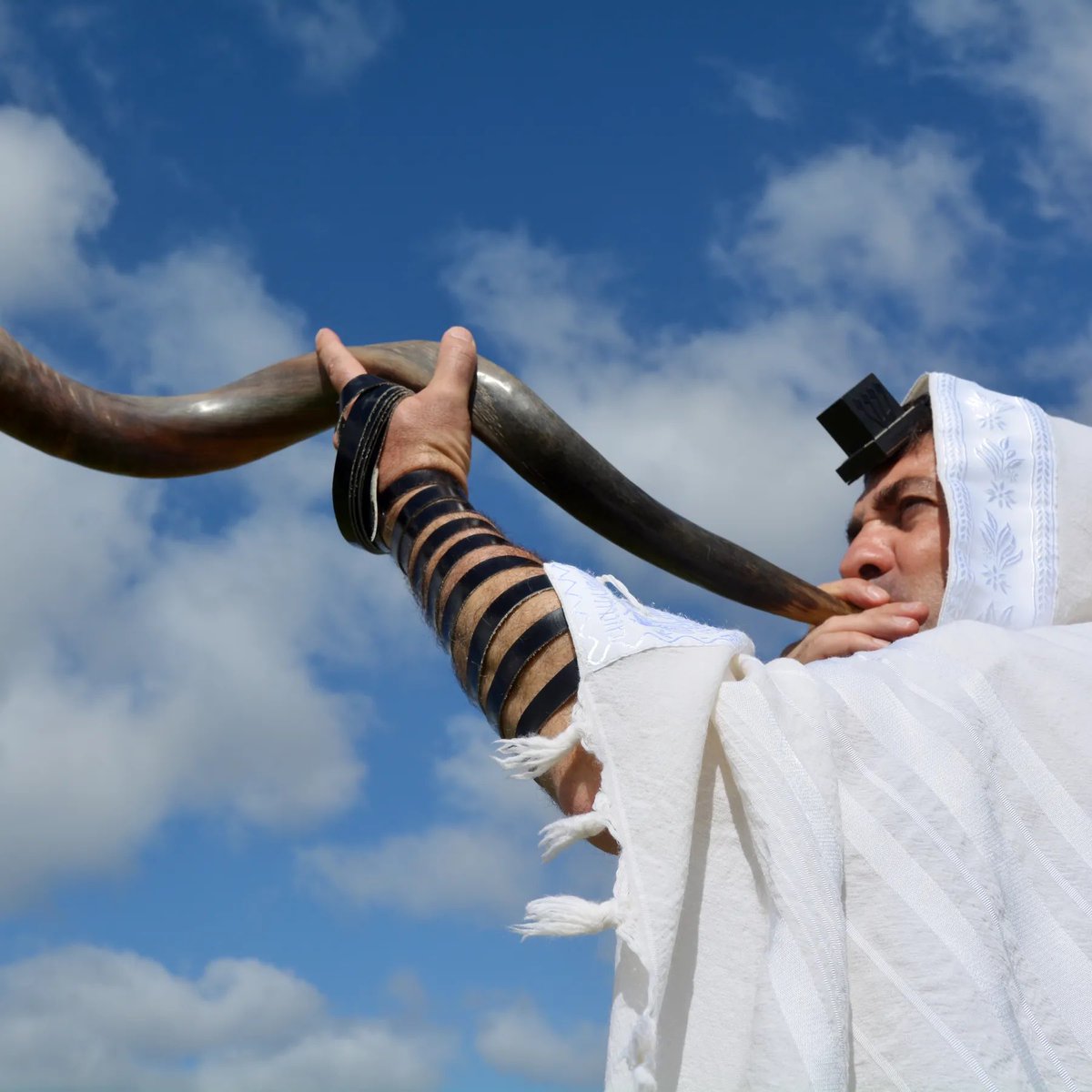 نبي الله يوسف الصديق عليه السلام صاحب الوجه الحسن والخلق الرفيع باعه إخوته بثمن بخس زهيد برغم أنه نبي من أنبياء الله ..
والأبواق الرخيصة القذرة والنفوس عديمة الذمم والوجوه القبيحة تشترى اليوم بأسعار متفاوتة باهضة وهي لا تستحق ربال واحد..
#اكشن_مع_وليد #علي_بابا