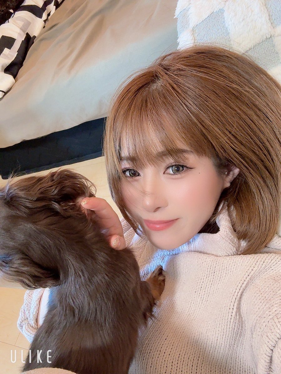 福告幻獣 菫ちゃん 上坂すみれ】上坂すみれキャラソンライブvol.1「FLASHBACK HEROINES