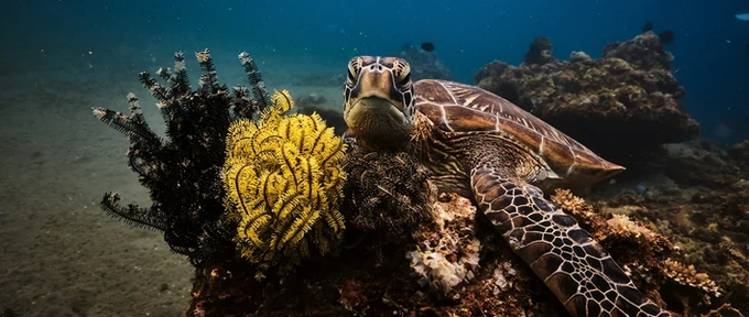 Communications INC tweet media