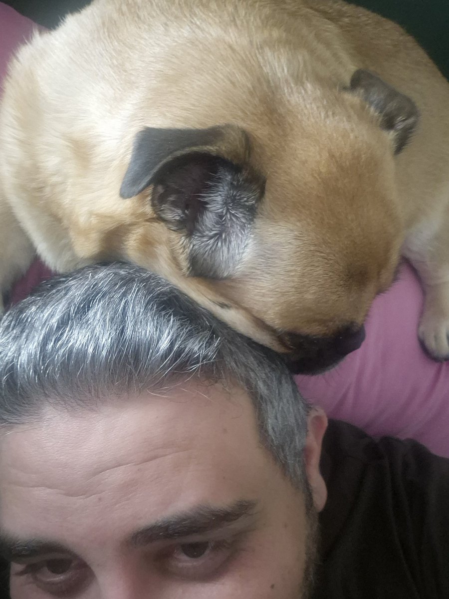 Ќути барем некој се радува кога ќе ме види.