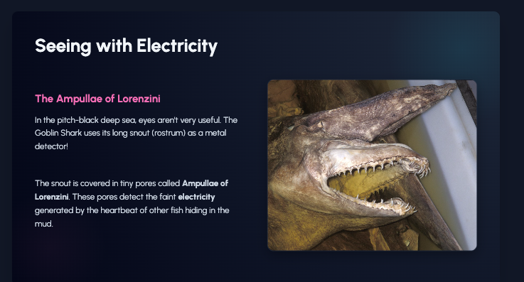 MeshaDaniel's tweet image. Thank you, Gemini! You can now have Gemini CREATE and BUILD a Google Slides presentation! #googlegemini