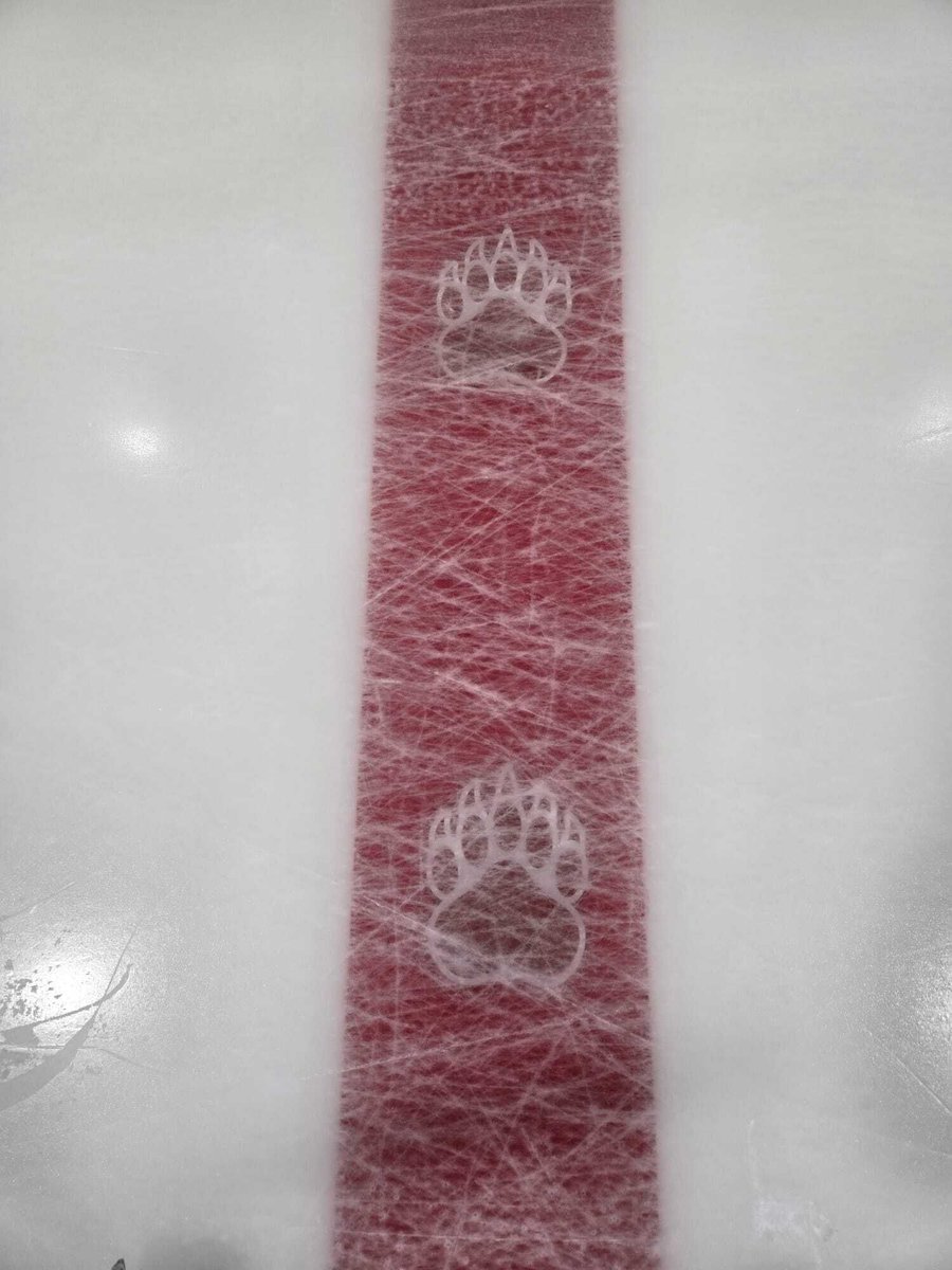 HockeyWithoutBorders tweet media