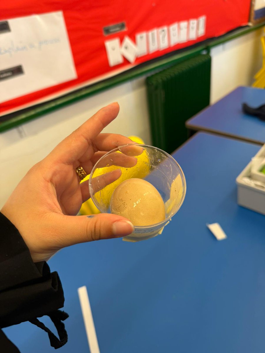 BrynHafodPrm's tweet image. STEM club is buzzing with excitement today! Last week’s bouncy egg experiment results are in, and the kids are testing them out - watching eggs transform into bouncy wonders! This week, they’re diving into slime-making.#STEM  #BouncyEgg #SlimeMaking