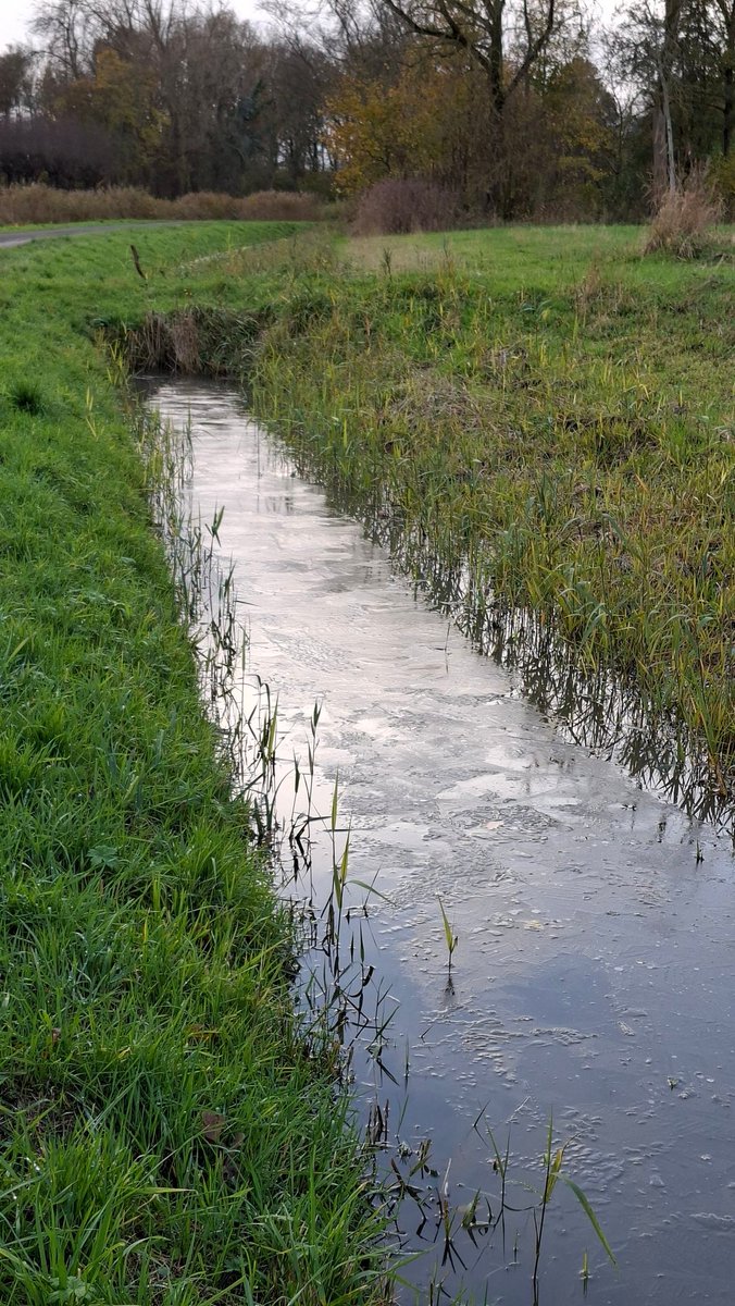 WNapBaukema's tweet image. &apos;t Wordt &apos;t tijd dat ik mijn schaatsen  ga zoeken? vandaag  #ijs in de sloot #vorst #schaatsen #november  #winter