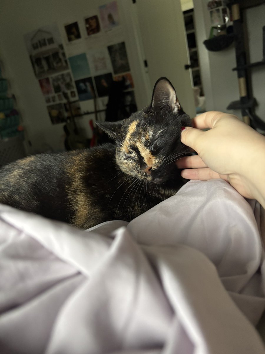 babiebabka's tweet image. morny scratchies :)