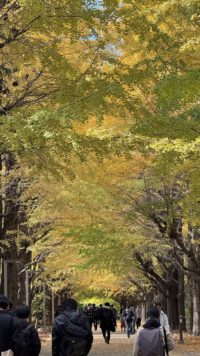 山中俊治 Shunji Yam @C107二日目東テ41b (@Yam_eye) / Posts / X