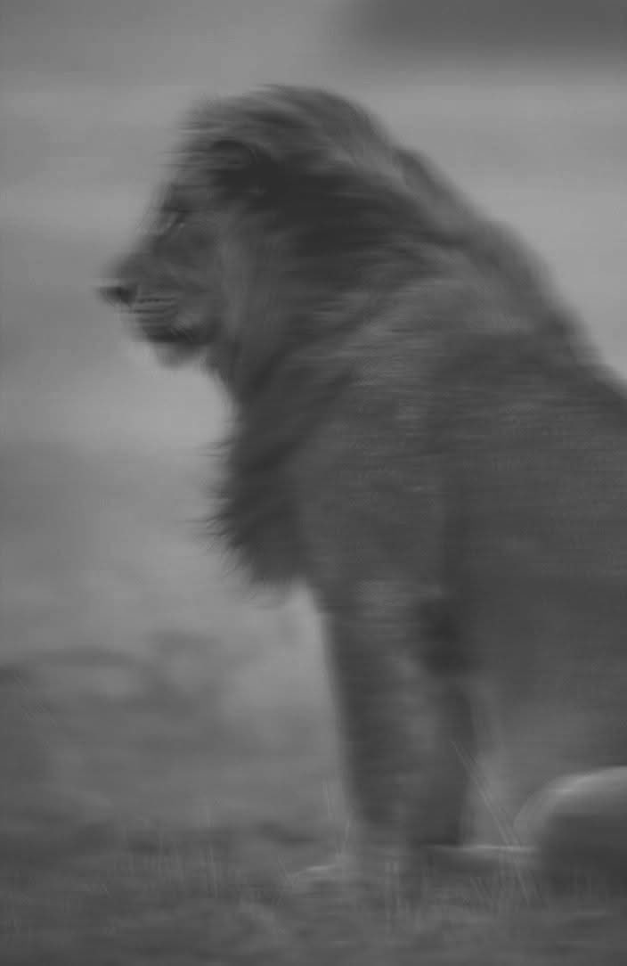 نُعِدُّ المَشرَفِيَّةَ وَالعَوالي
وَتَقتُلُنا المَنونُ بِلا قِتالِ

وَنَرتَبِطُ السَوابِقَ مُقرَباتٍ
وَما يُنجينَ مِن خَبَبِ اللَيالي

وَمَن لَم يَعشَقِ الدُنيا قَديماً ؟
وَلَكِن لا سَبـيلَ إِلى الوِصـالِ

نَصيبُـكَ في حَياتِكَ مِن حَبيبٍ
نَصيبُـكَ في مَنـامِكَ مِن خَيالِ

- ابو