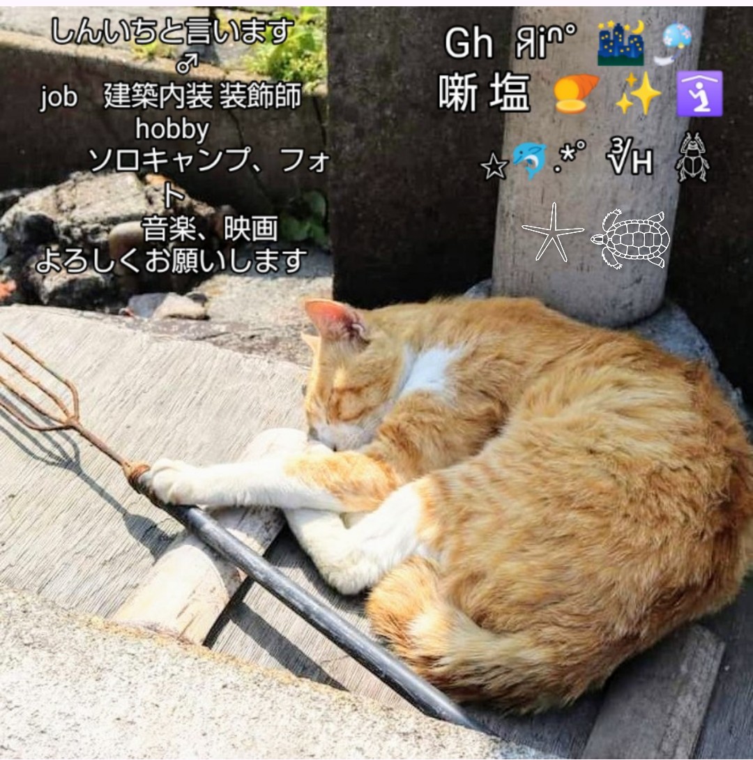 ♆𓃠Sinich tweet media