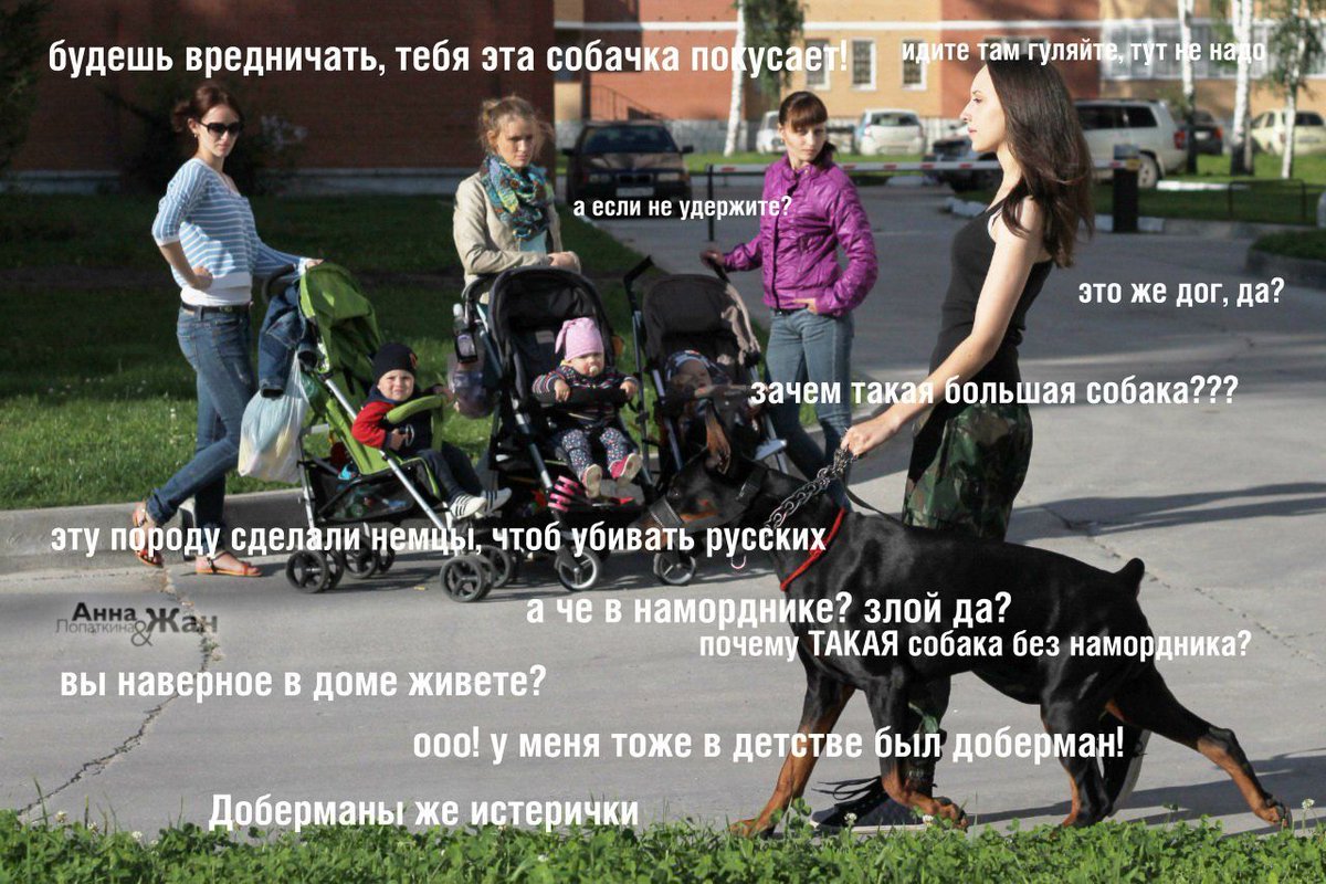 O sancta simplicitas (@o__also) on Twitter photo 