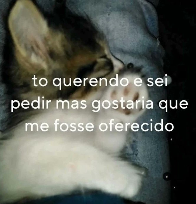 sobreteucaos's tweet image. 