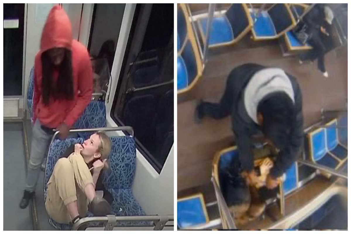 IvorySocietyApparel tweet media