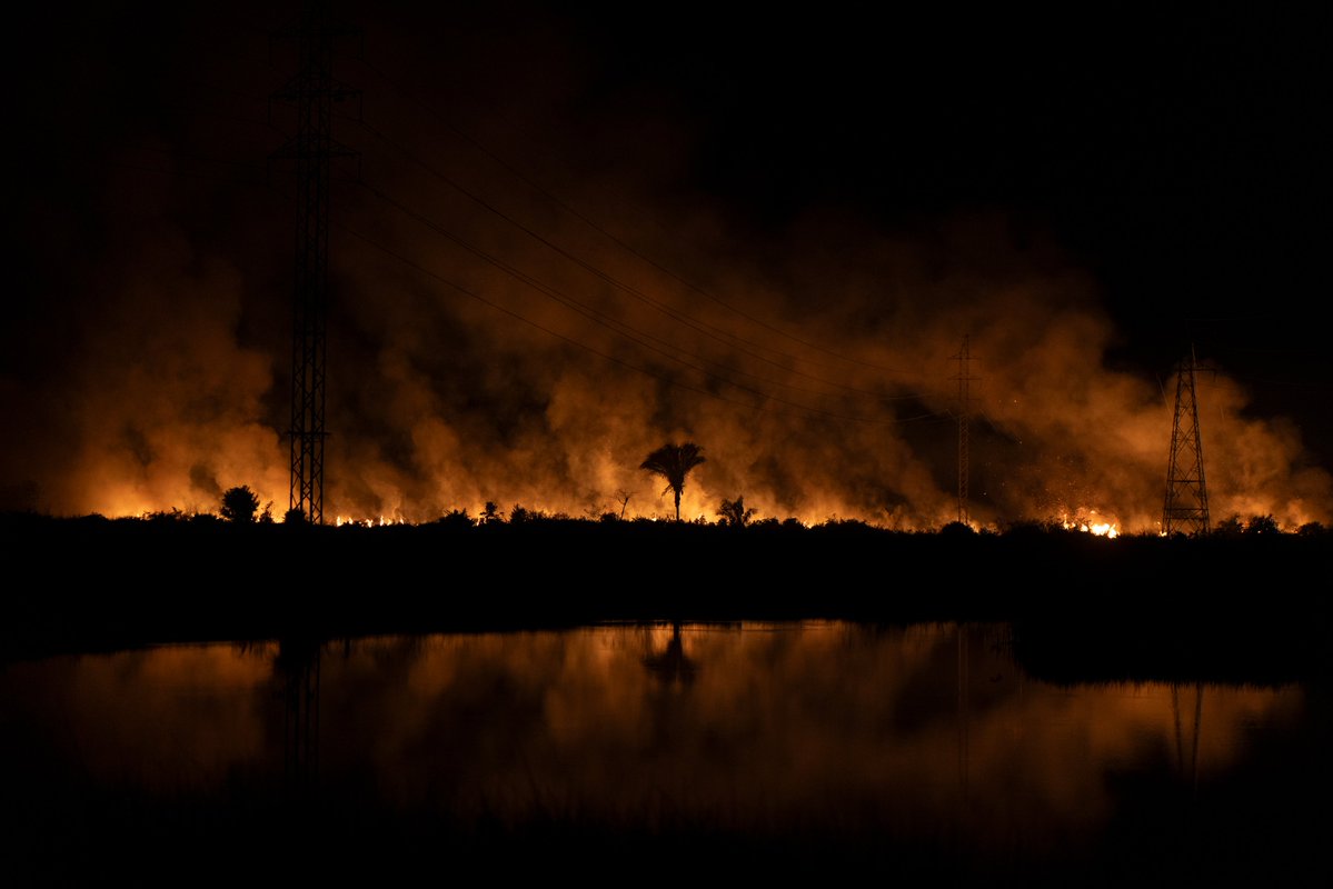“The birds are extremely distressed; it’s not their normal call; it’s a song of suffocation” says photographer Victor Moriyama speaking to <a href="/MongabayOrg/">Mongabay</a> about his work photographing wildfires in the Amazon.

Victor photographed the causes and impacts of black carbon across Brazil