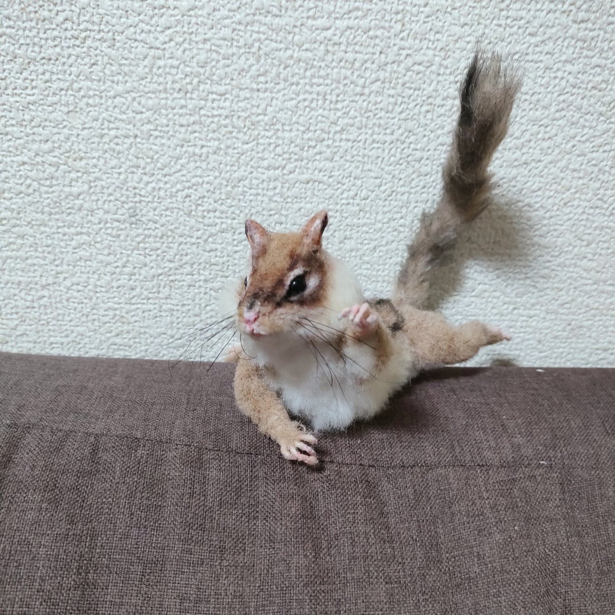 シマリス