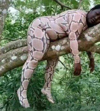 How to dress for a tourist guide job interview because u have to make animals feel at home