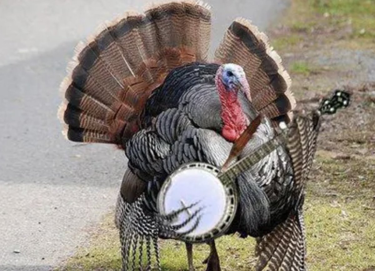 Earls of Leicester tweet media