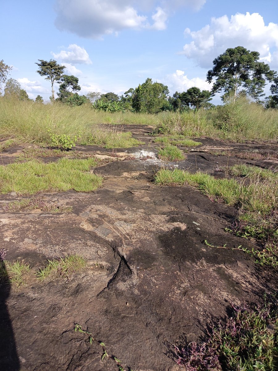 DeborahTusingw4's tweet image. Want to Know the Extent, Depth &amp;amp; Quality of Rock on Your Land?
We can help you discover, How far the rock body spreads, Where it starts and how deep it goes, it&apos;s Strength, composition &amp;amp; mineral value

Ready to analyze your rock?
+256770836731

#Geology  #rocks #ttest #geophysics