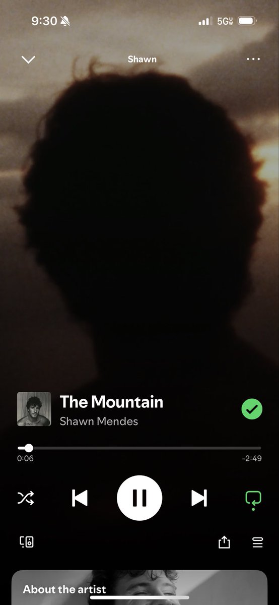 Toadsworthy1's tweet image. Whenever people comment about Shawn’s social media presence, lifestyle, “career trajectory”, “impact”, his last album, or other negative entitled unwarranted opinion, I literally just play this song and breathe easier ✨✌🏻✨