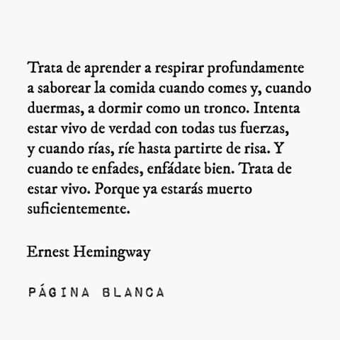 El Estoico | Filosofía (@elartedevivir__) on Twitter photo 