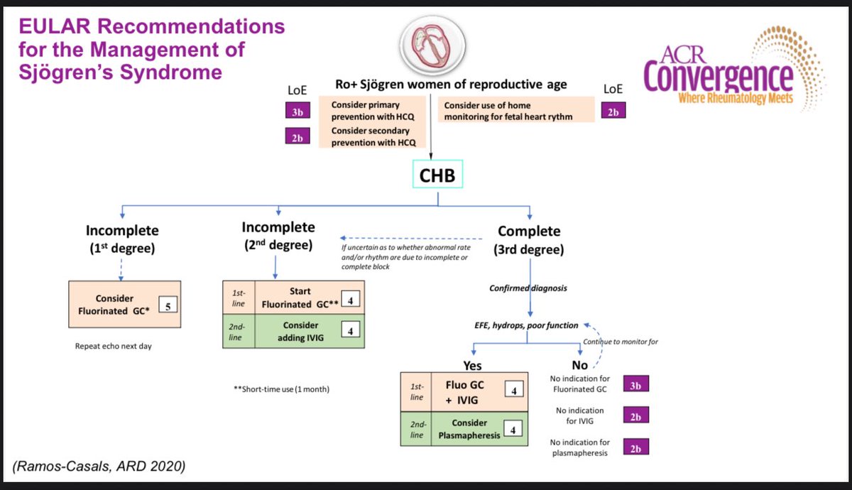 Pregnancy in Sjögren’s — Fast Facts 🔥

(From Dr. Peter Izmirly, NYU — ACR Convergence)  

• Most Sjögren’s pregnancies are safe
• Flares are rare (~10–13%)
• Main risk: Neonatal Lupus + Congenital Heart Block (CHB)
• Risk: ~2% first pregnancy → 18% if prior CHB
• HCQ = the