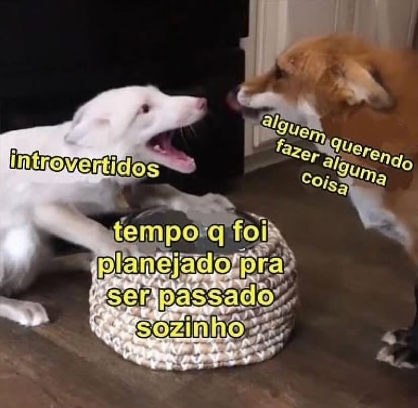 feriadinho bom no meio da semana