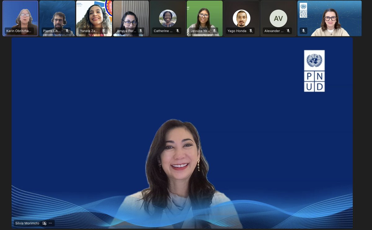 PNUD México tweet media