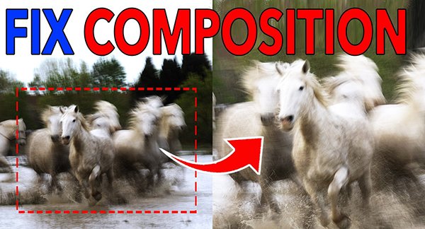 shutterbug's tweet image. Don&apos;t crop wildlife and nature photos before watching this video tinyurl.com/52dvry9a