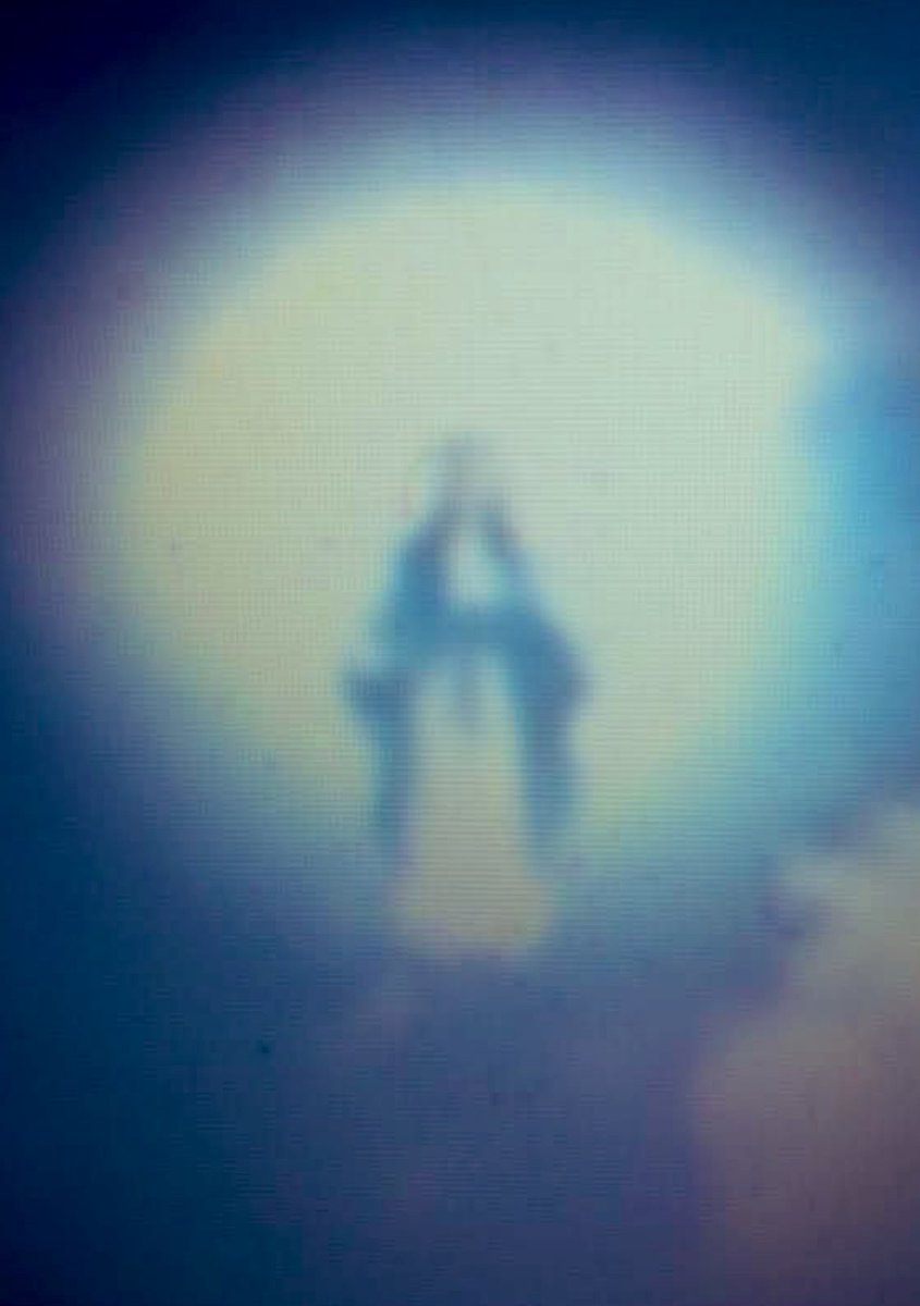 GrainneMcD92925's tweet image. Ave Maria 🕊️