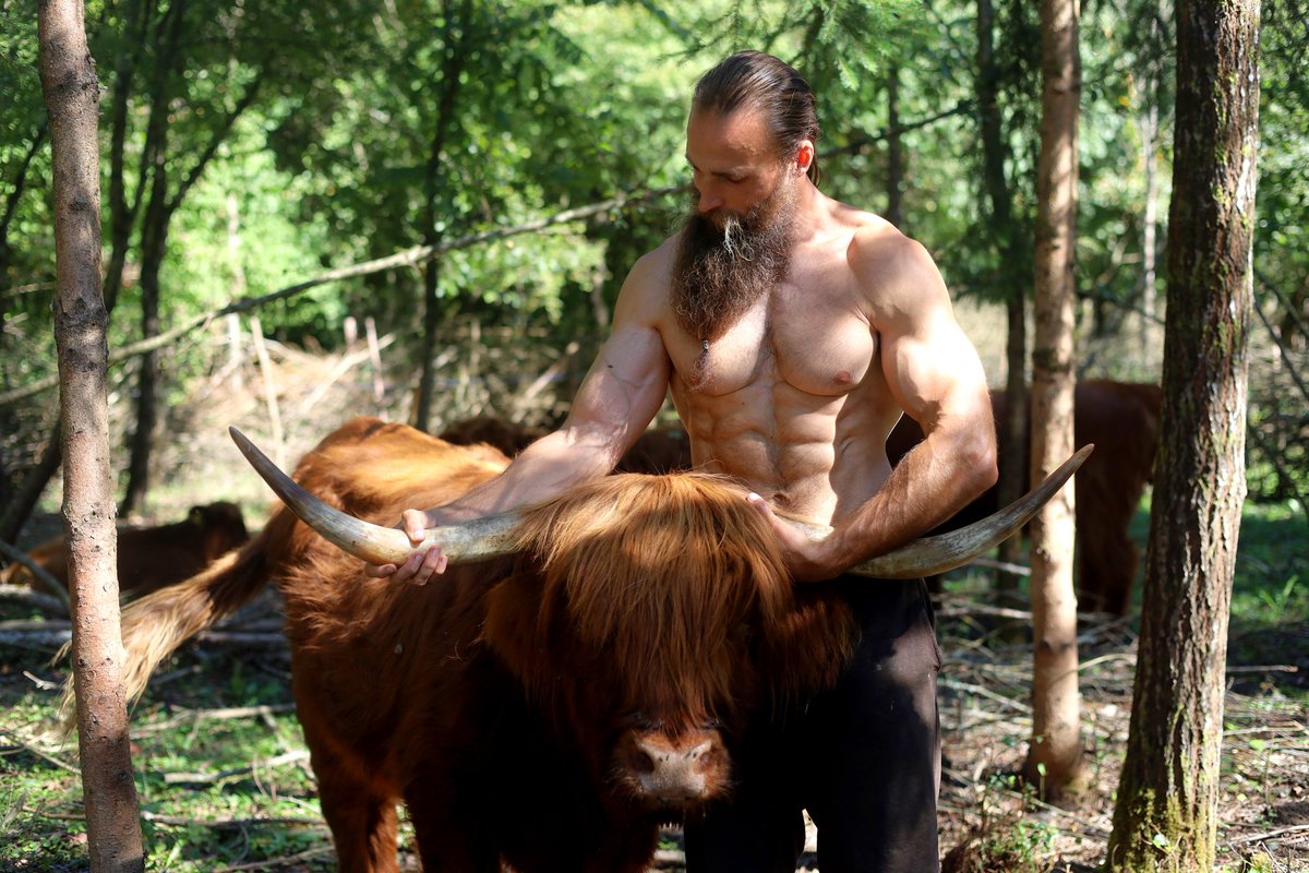 When, after years and years of trying to become a disciplined person, of starting and abandoning countless routines, of ruining one streak after another, and of being at the constant mercy of my moods and energy levels, something inside me finally broke, and I stopped betraying