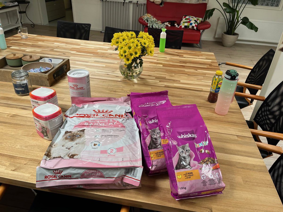 BlackShib_DOGE's tweet image. Today, @PresolarX and @CPhoenician visited the local animal shelter ’t Julialaantje (@Julialaantje) in Rijswijk, The Netherlands. They donated over €200 worth of animal food and kitten milk, choosing the brands the shelter itself prefers to use.

The shelter offers a safe haven…