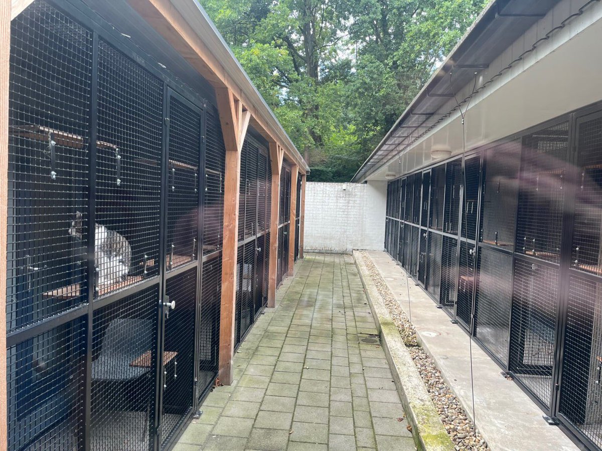 BlackShib_DOGE's tweet image. Today, @PresolarX and @CPhoenician visited the local animal shelter ’t Julialaantje (@Julialaantje) in Rijswijk, The Netherlands. They donated over €200 worth of animal food and kitten milk, choosing the brands the shelter itself prefers to use.

The shelter offers a safe haven…