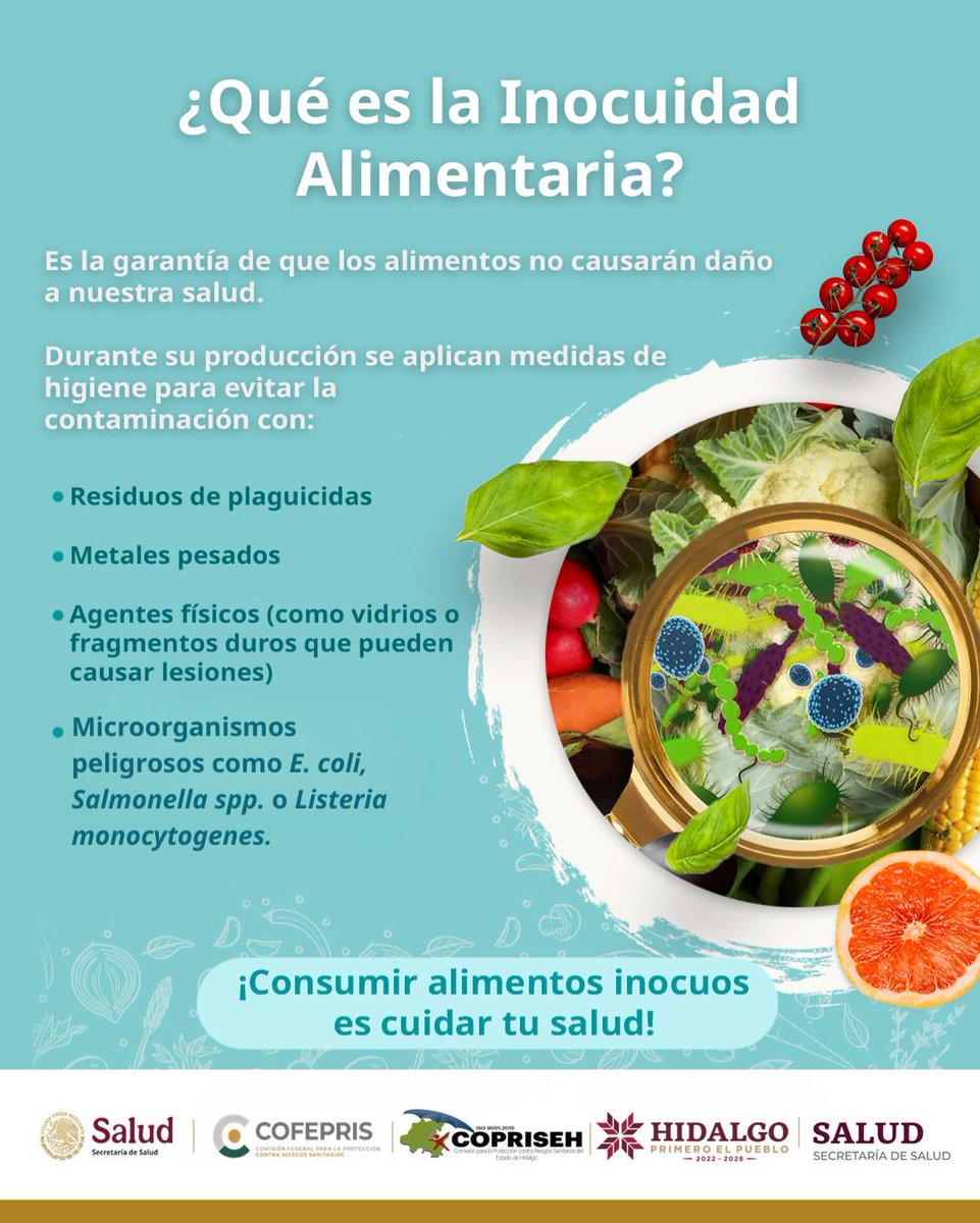 coprisehgo's tweet image. ¿Sabías que la inocuidad alimentaria es clave para proteger tu salud y la de tu familia?
Cada vez que eliges o preparas un alimento, estás confiando en que no te hará daño. 
Consulta la guía de autoverificación: bit.ly/4o87ZdD
#PrimeroElPueblo 
#PrimeroTuSalud