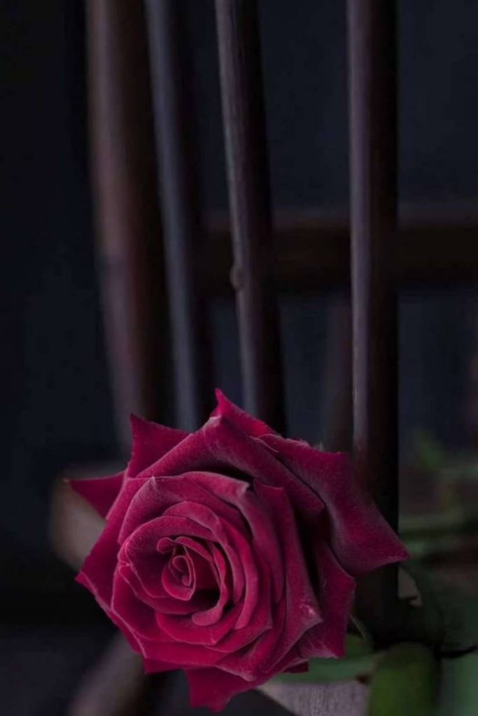 تدري وش أجمل شيء بَعيون الإنساان
انہ يشوف إنساان يسوى عيونہ …🤍