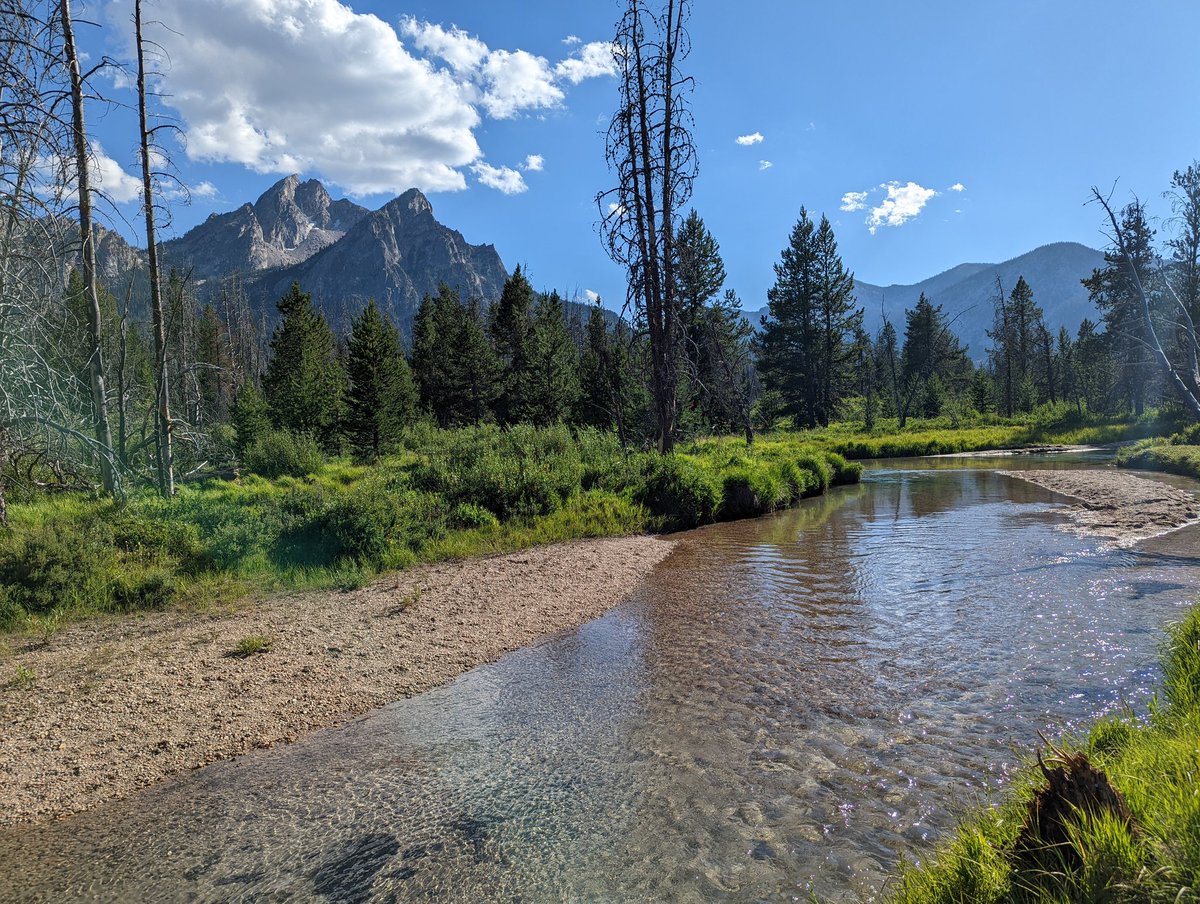 Ande Jacobs tweet media