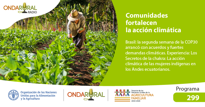 🎧🌱Al aire el programa 299 de #OndaRuralRadio

Brasil🇧🇷 : concluye #COP30; la Cumbre de los Pueblos, las voces que no se rinden🗣️🌿.

📣Los Secretos de la #chakra: La #acciónclimática de las mujeres indígenas en los Andes🏔️ecuatorianos🇪🇨.

📻 Escúchalo ➡️ ondarural.org/node/4100