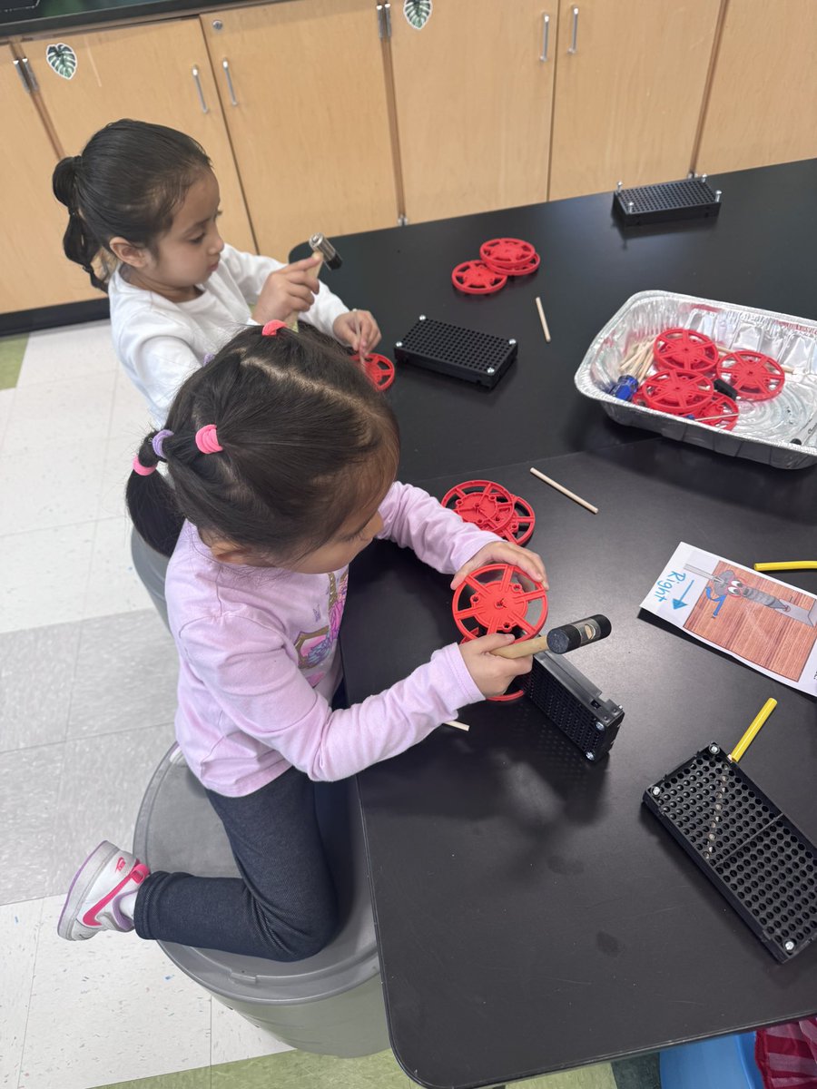 Meadow Drive Science tweet media