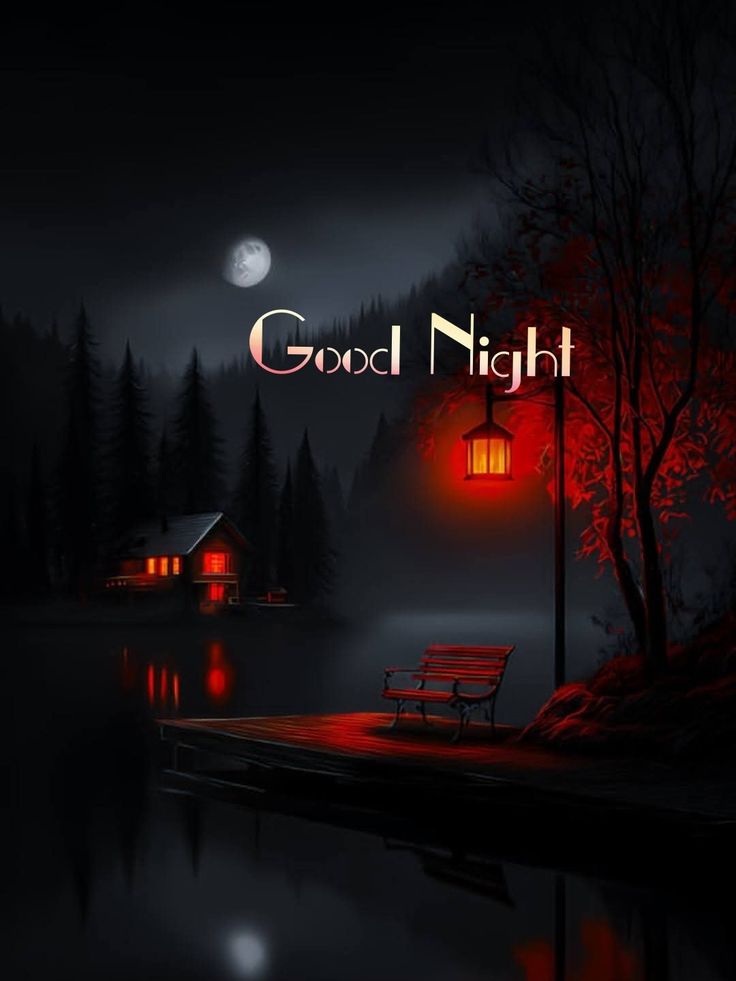 Good night X friends ❣️