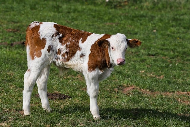 Chudai_jav_GAwc's tweet image. #DigitalDisruptionIn