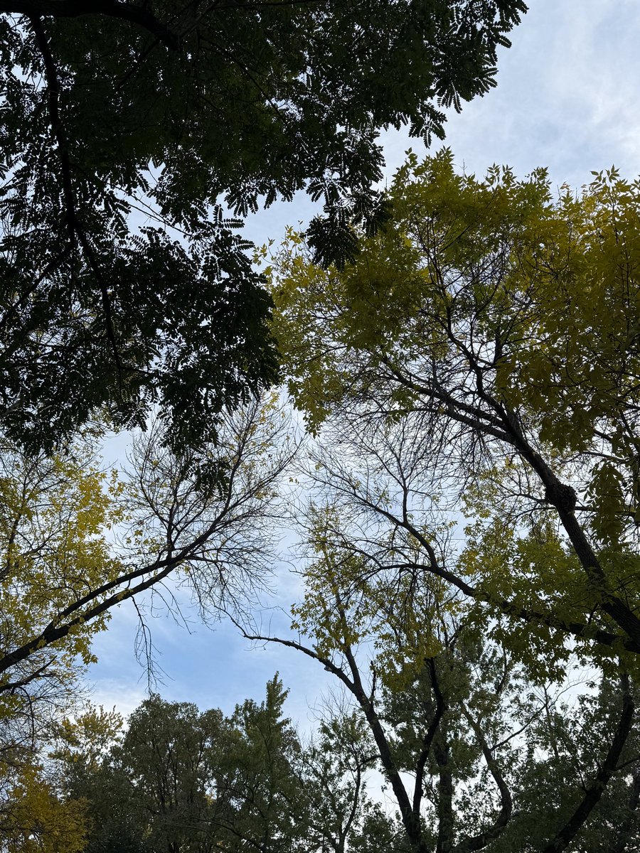 r4zor2r0sary's tweet image. life outside of twt lately ⬆️⬇️⬅️➡️