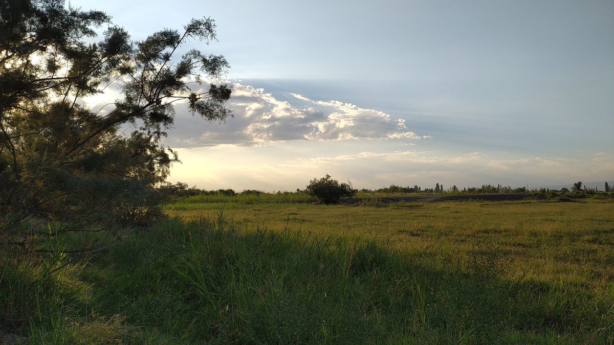 Herşeyin bir sonu var, en sabredilmez kışın sonu bir bahar ,bu umutsuz şiirlerim bile seni görene kadar...
L.V.M.G