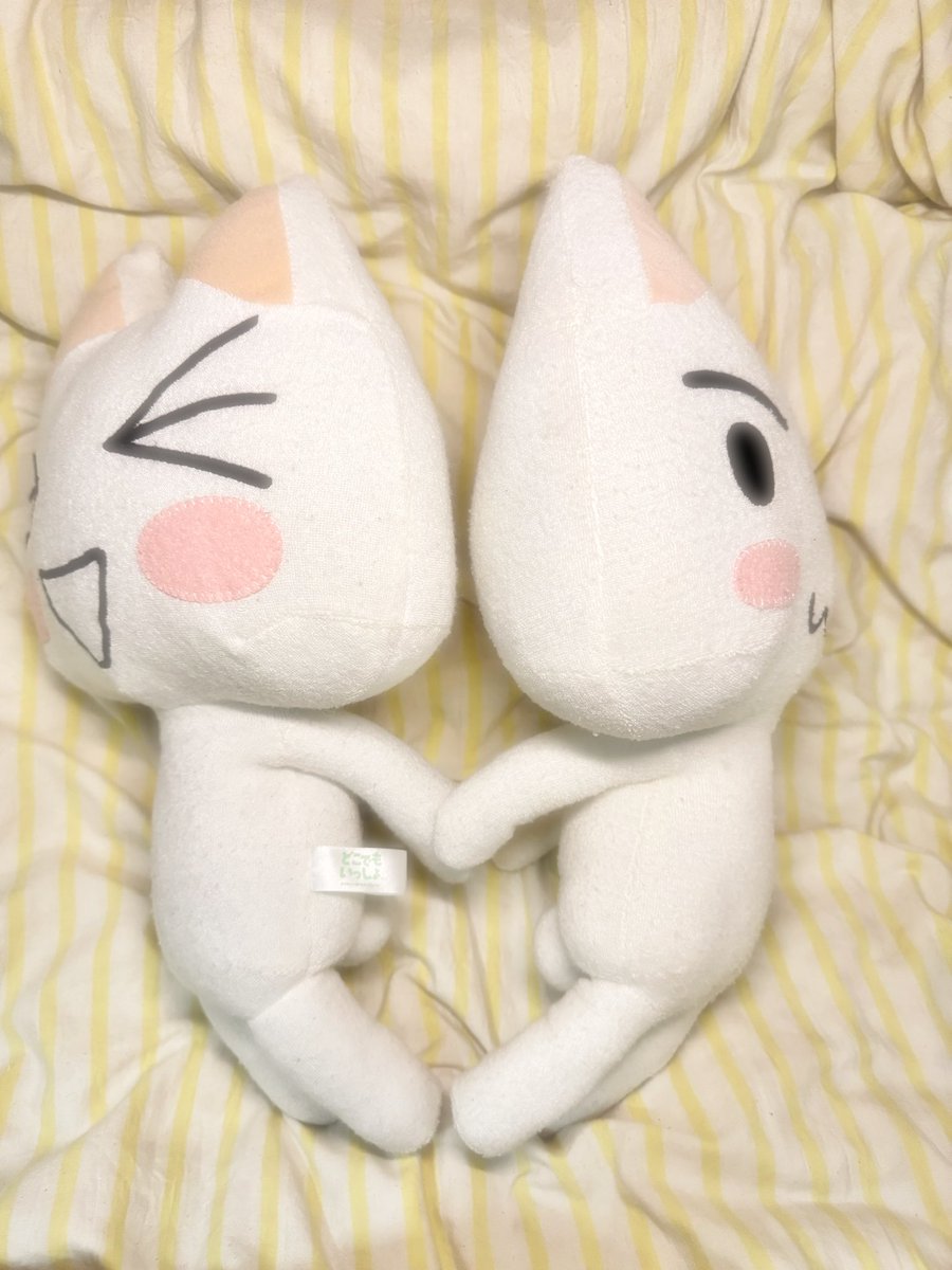 kikukawamio's tweet image. 第二弾
#どこでもいっしょ #トロ #dokodemoissyo #sonycat