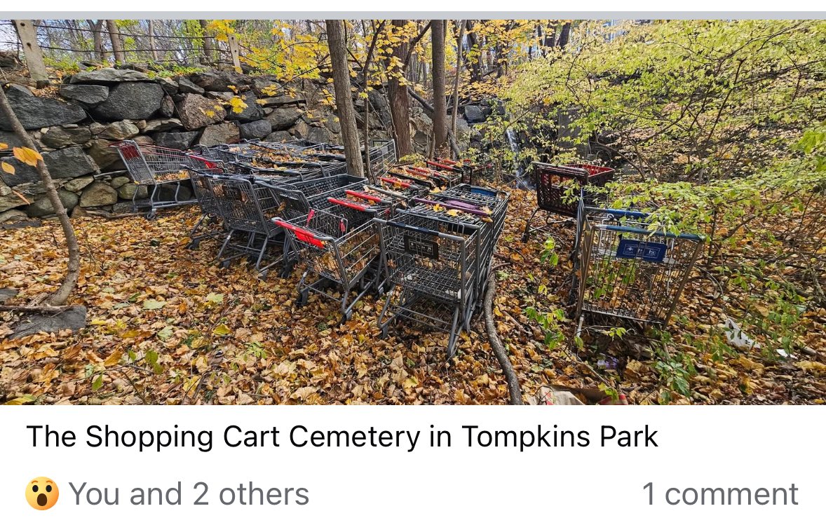 Gregg8081's tweet image. Every single store should be fined! #Peekskill / @CityOfPeekskill needs to fix this insane shopping cart issue. The fix is super simple yet is ignored for years