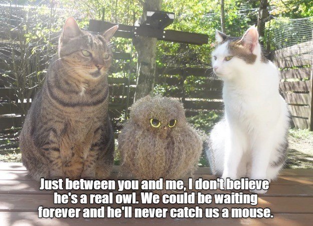 gary37h's tweet image. 😂