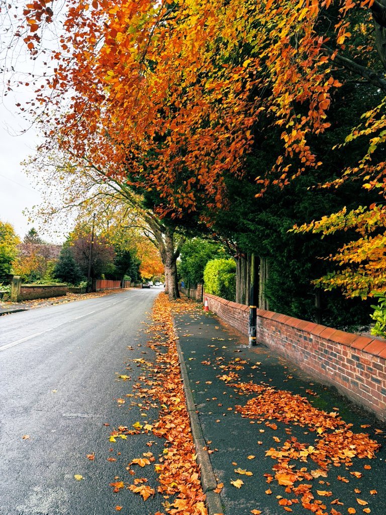 Autumn in the UK 🇬🇧