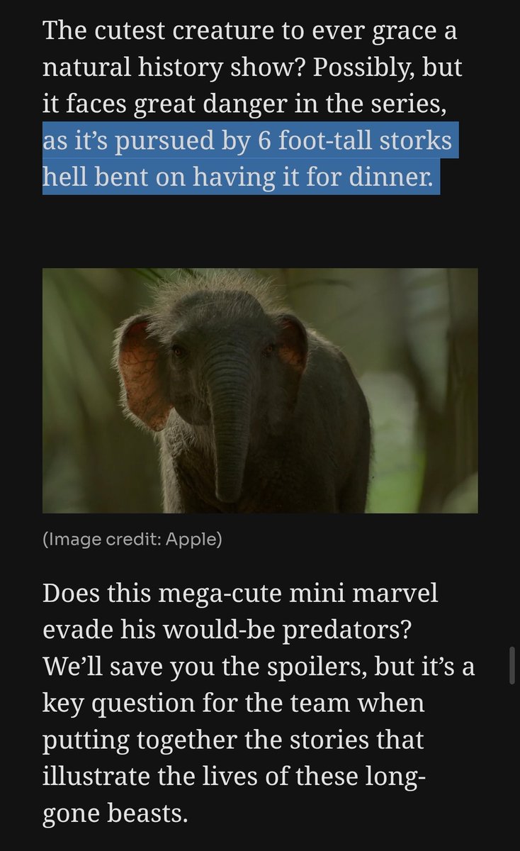 SomniosusW's tweet image. Really...? Stork hunts an elephant?