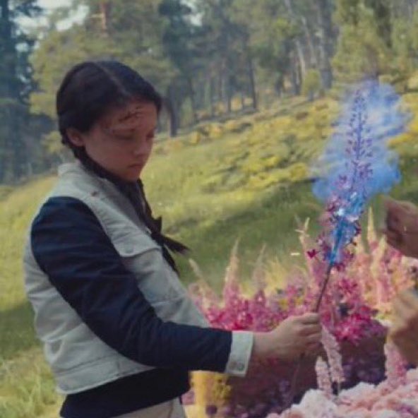 notice how we didn’t see louella in the trailer because the capitol erased her