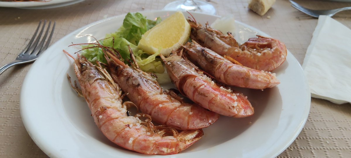 JAVIERCASTRO96's tweet image. Una especie de comida de trabajo que al final fue a más. Restaurante Río Ebro del polígono industrial de Guarnizo. Pues todo n
Muy bien 😎