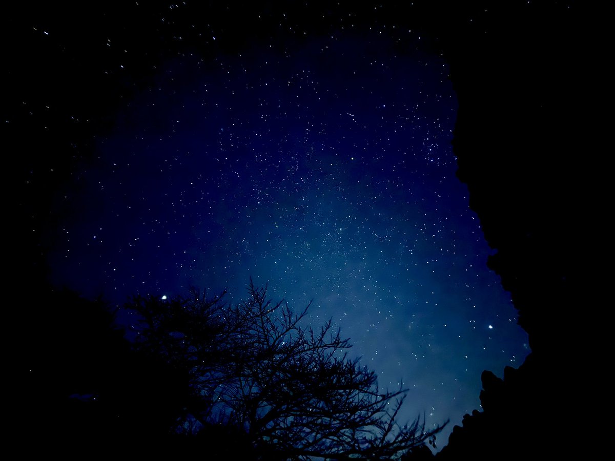 空を見上げたら星が綺麗だった。