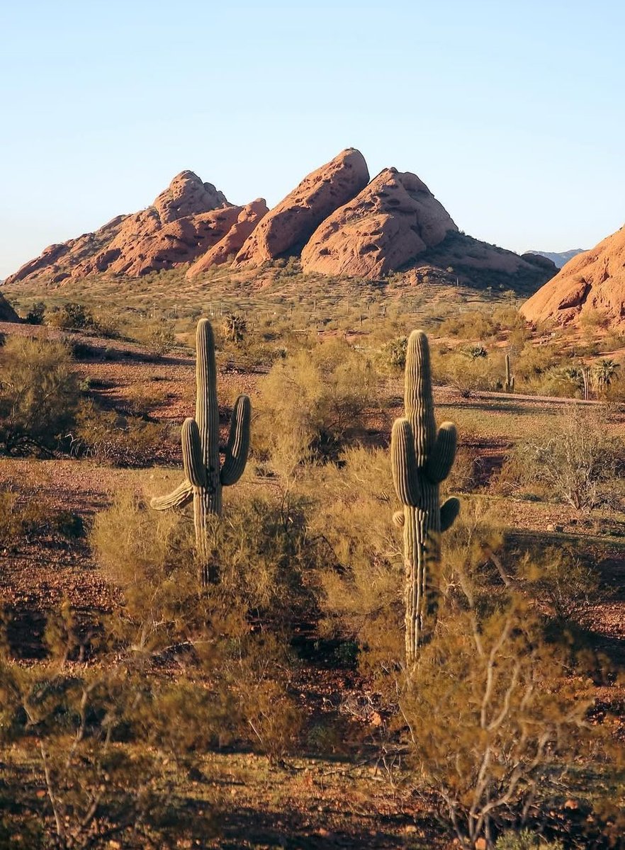 Todd J. LeDuc tweet media