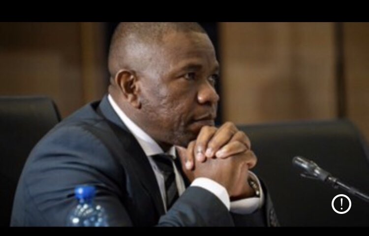 General Mkhwanazi saved South Afrika 

#MadlangaCommission 
#AdhocCommittee