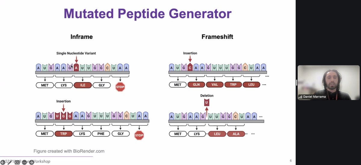 Immune Epitope Database tweet media